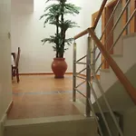 Falesia Casa Da Sobreira Feriehus *