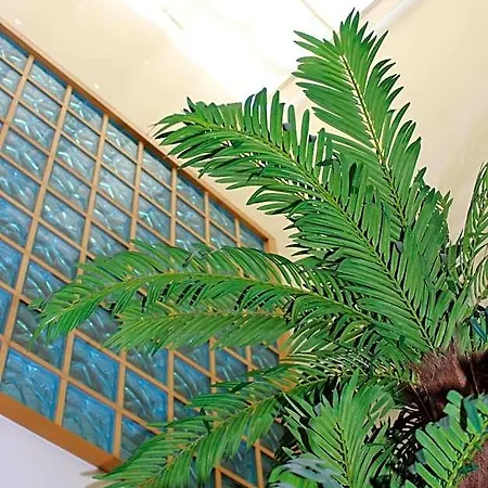 펜션 Falesia Casa Da Sobreira 알부페이라