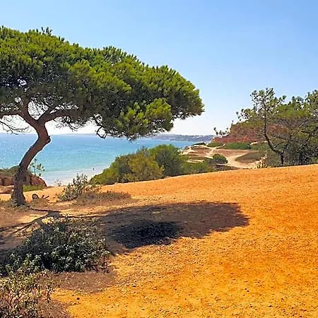 Falesia Casa Da Sobreira * Αλμπουφέιρα