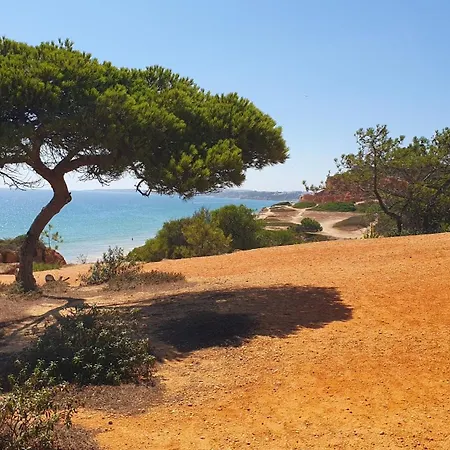 Falesia Casa Da Sobreira Tatil Evi *